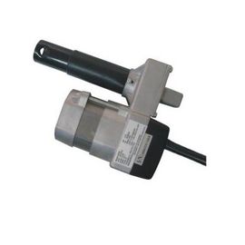 comprare Vite stimata dell'ACME dell'azionatore lineare di CC 12V con Bulit - in commutatori di limite online manufacture